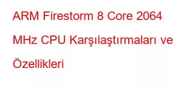 ARM Firestorm 8 Core 2064 MHz CPU Karşılaştırmaları ve Özellikleri