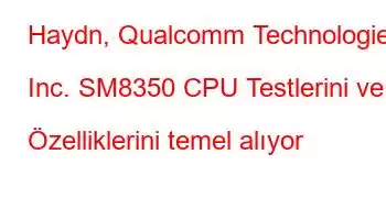 Haydn, Qualcomm Technologies, Inc. SM8350 CPU Testlerini ve Özelliklerini temel alıyor