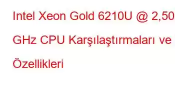 Intel Xeon Gold 6210U @ 2,50 GHz CPU Karşılaştırmaları ve Özellikleri